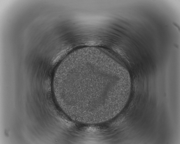 X0000100210303200806201451