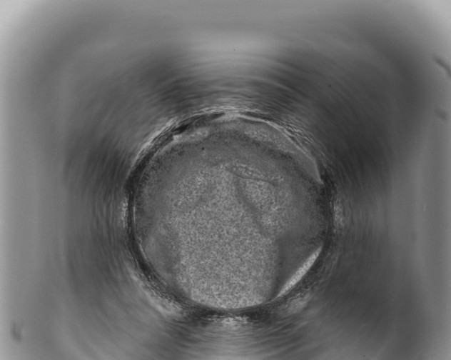 X0000100210304200806201451