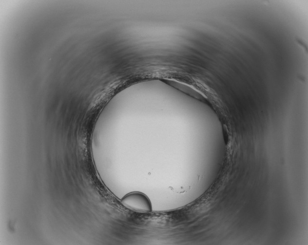 X0000100210306200806201451