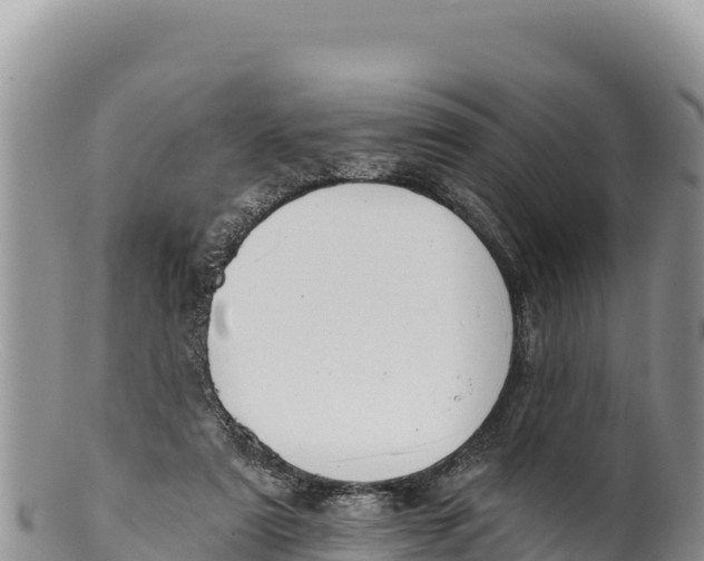 X0000100210307200806201451