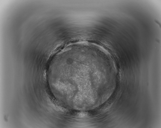 X0000100210308200806201451