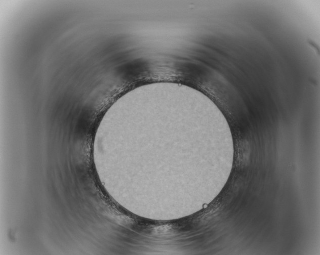 X0000100210309200806201451