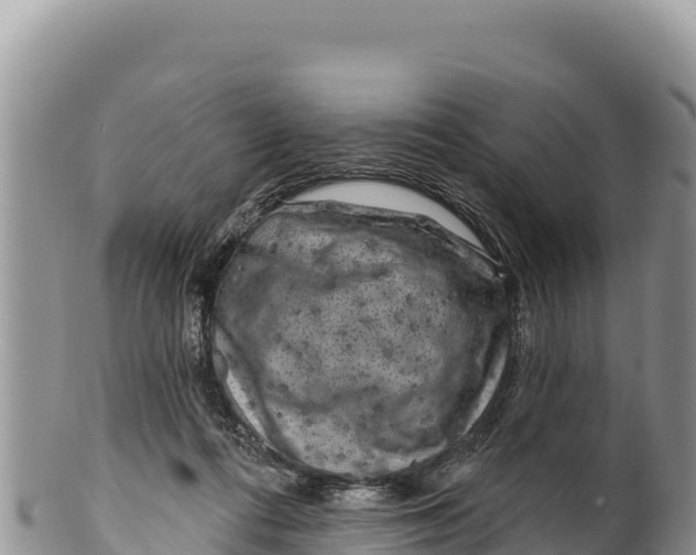 X0000100210312200806201450