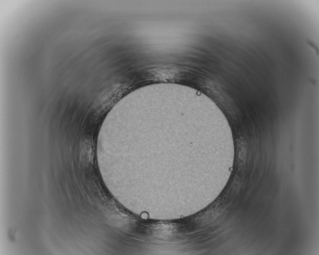 X0000100210313200806201450