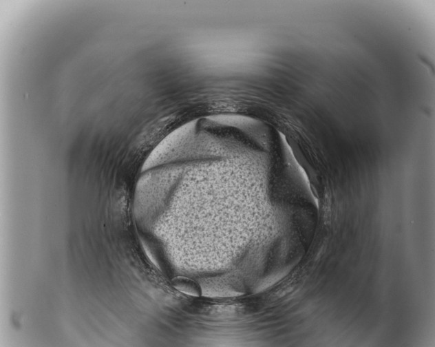 X0000100210314200806201450