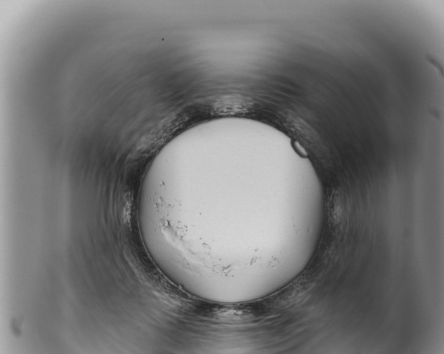X0000100210315200806201450