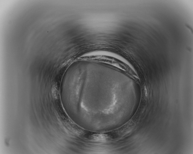 X0000100210316200806201450