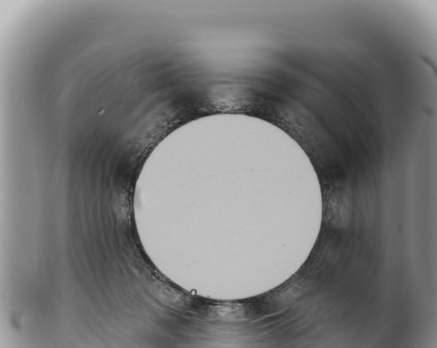 X0000100210317200806201450