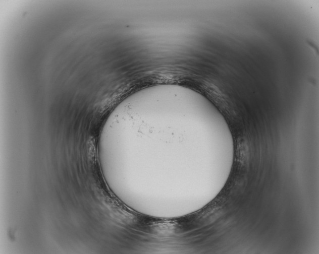 X0000100210318200806201450