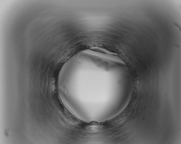 X0000100210323200806201450