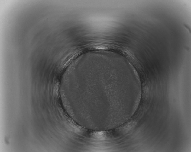 X0000100210325200806201450