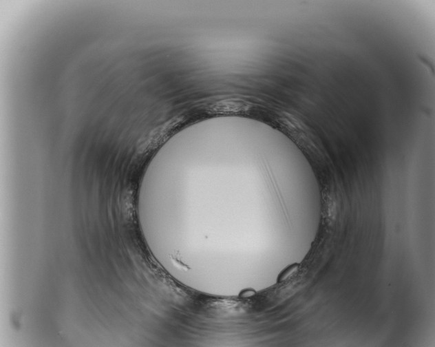 X0000100210326200806201450