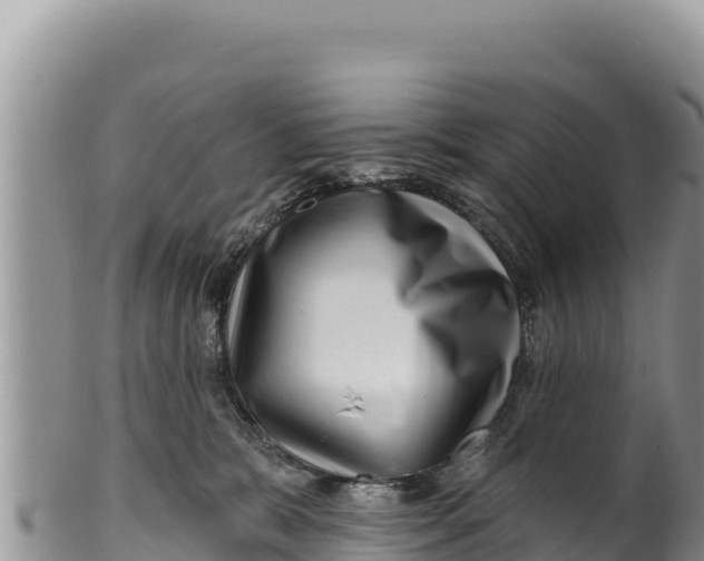 X0000100210327200806201450