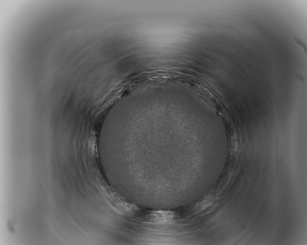 X0000100210328200806201450