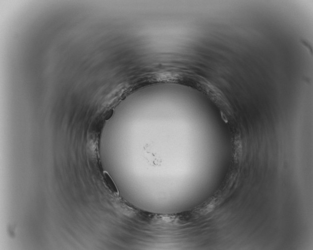 X0000100210329200806201450