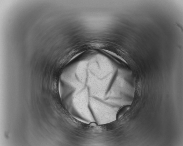 X0000100210330200806201450
