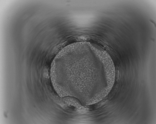 X0000100210331200806201450