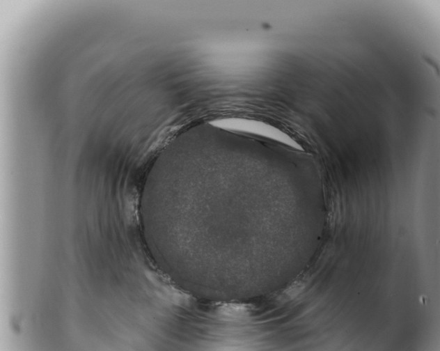 X0000100210332200806201450