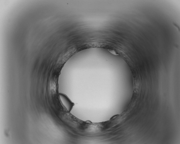 X0000100210334200806201450