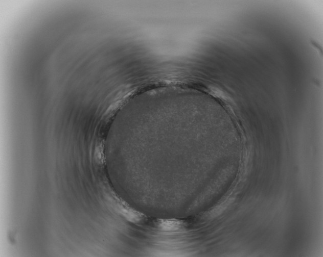 X0000100210336200806201450