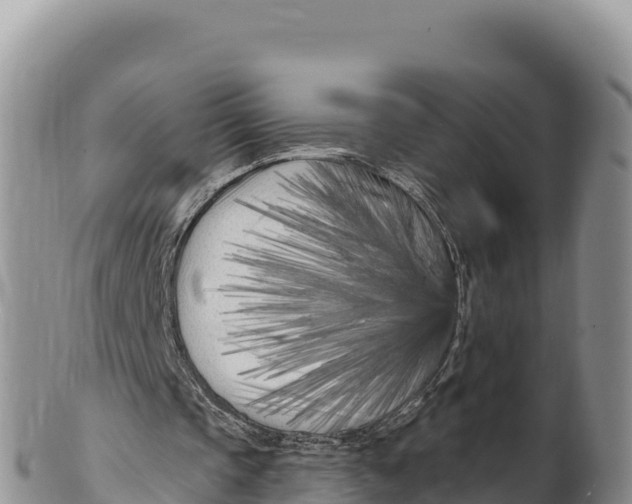 X0000100210337200806201449