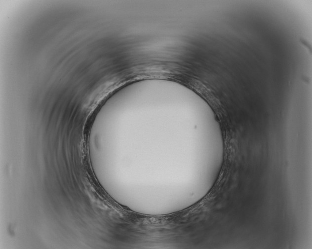 X0000100210338200806201449