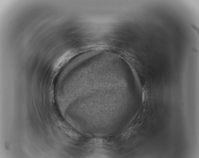 X0000100210339200806201449