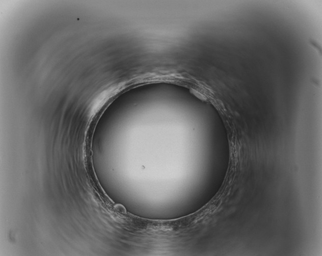 X0000100210340200806201449
