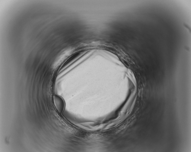 X0000100210341200806201449