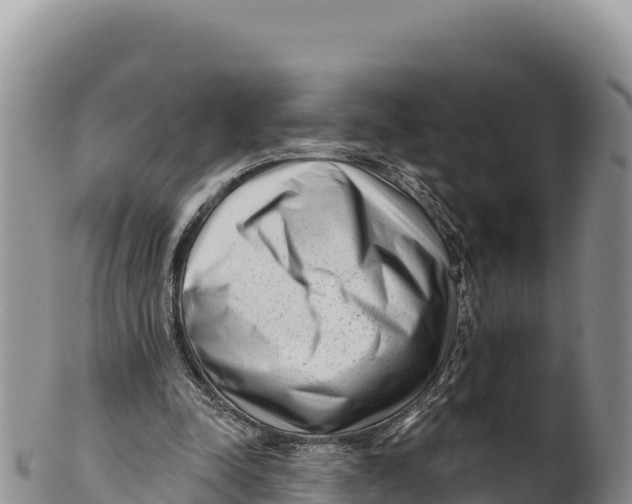 X0000100210342200806201450