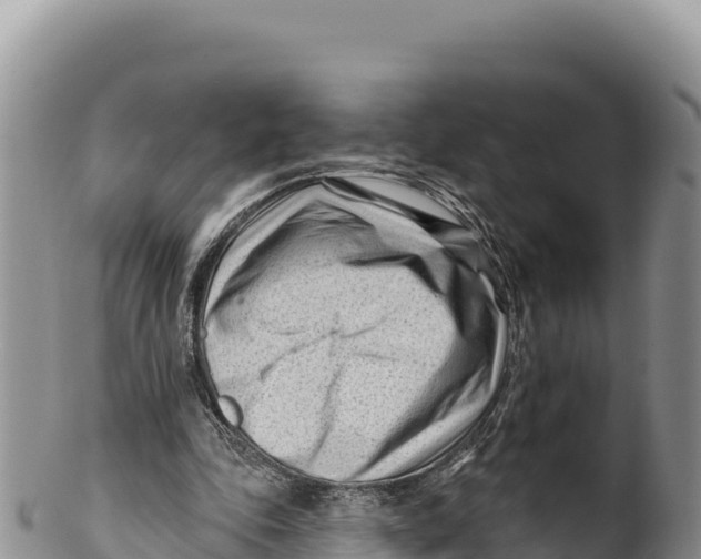 X0000100210343200806201450