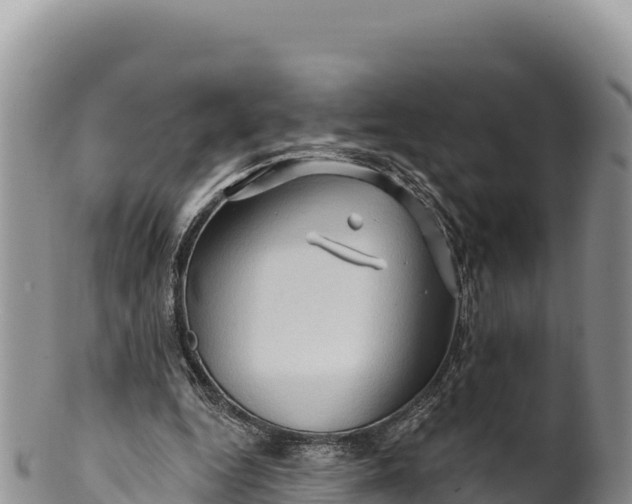 X0000100210344200806201450