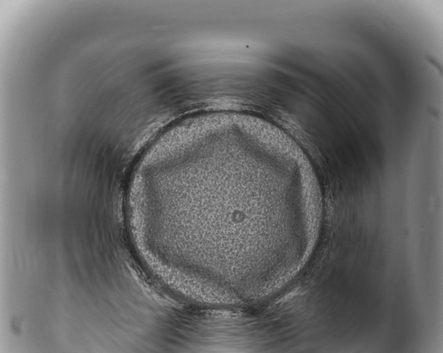 X0000100210347200806201450