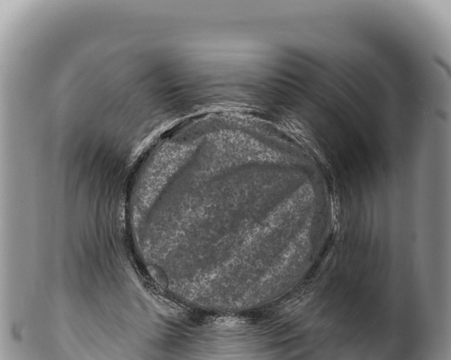 X0000100210348200806201450