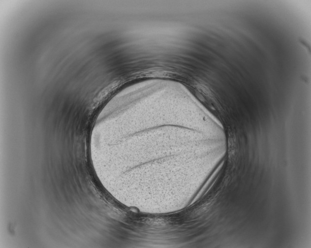 X0000100210349200806201450