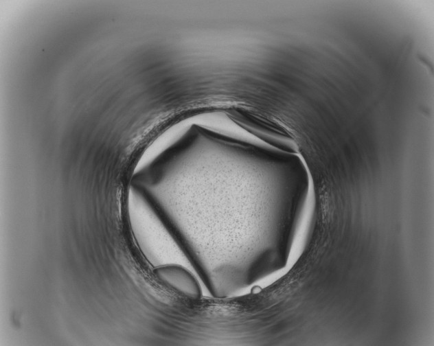 X0000100210350200806201450