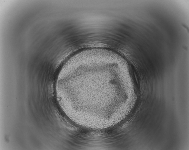 X0000100210351200806201450