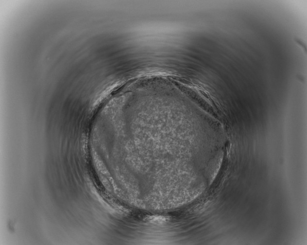 X0000100210352200806201450