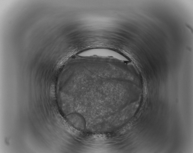 X0000100210353200806201450