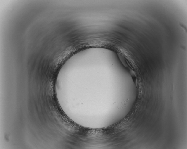 X0000100210354200806201450