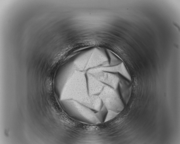 X0000100210355200806201450