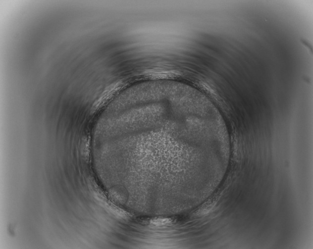 X0000100210357200806201450
