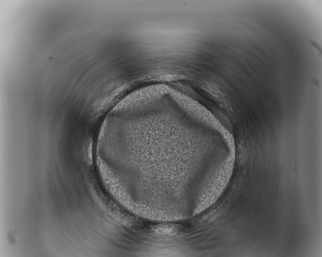 X0000100210358200806201450