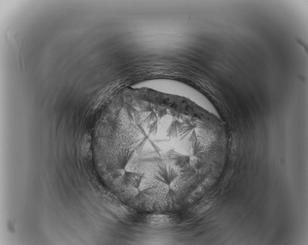X0000100210361200806201450