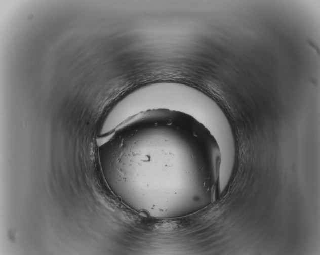 X0000100210362200806201450