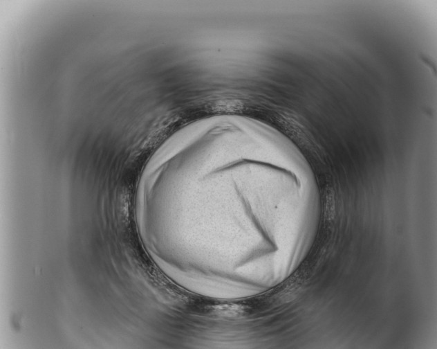 X0000100210363200806201450