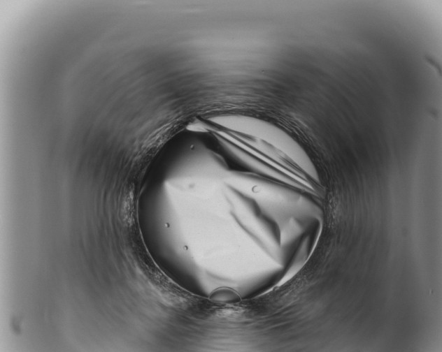 X0000100210364200806201450