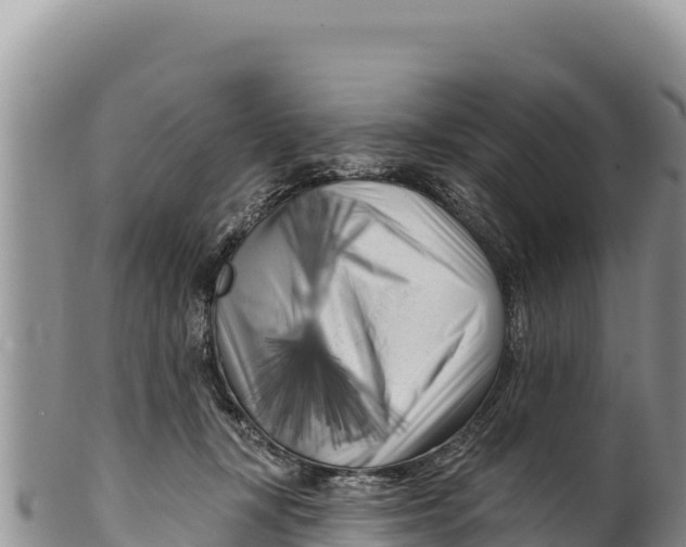 X0000100210367200806201450