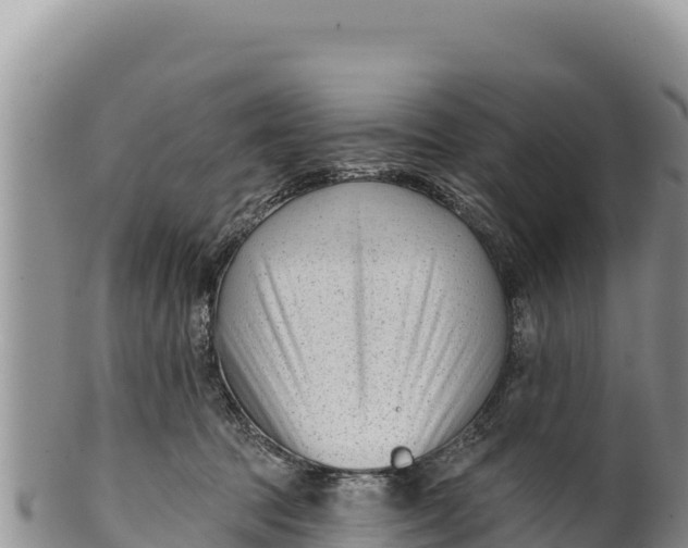 X0000100210369200806201450