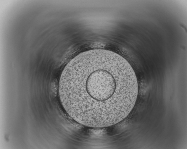 X0000100210370200806201450